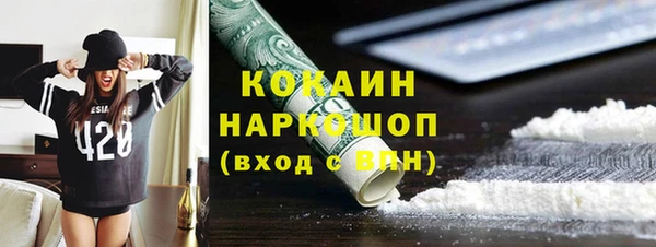 молекула духа Арсеньев