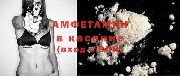 молекула духа Арсеньев