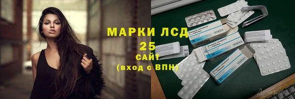 молекула духа Арсеньев