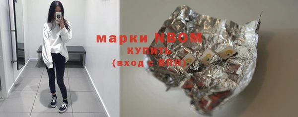 молекула духа Арсеньев