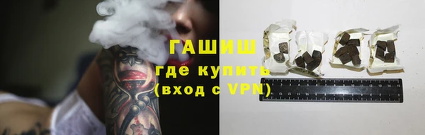 молекула духа Арсеньев