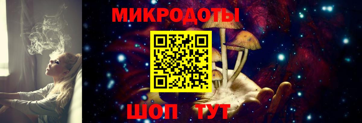 Псилоцибиновые грибы Psilocybine cubensis Междуреченск